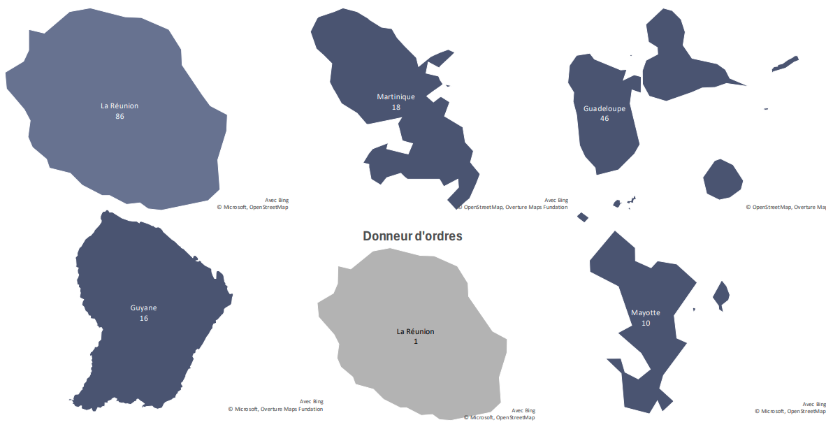 Dératisation restaurant gastronomique Lyon 2ème - Photo 5